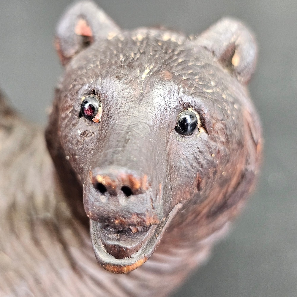 Antique 1920s Black Forest Bear Hand Carved Wood Glass Eyes Matchbox Holder